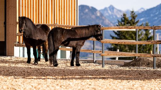 Reitstall im Kinderhotel Allgäuer Berghof
