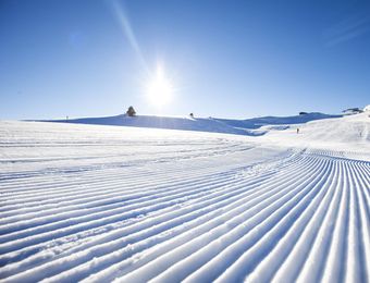 Top Angebot: Spurwechsel. Langlaufwoche intensiv mit Langlaufkurs - Bio-Berghotel Ifenblick