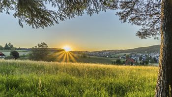 Kulinarischer Sommer