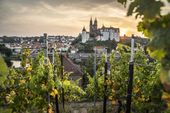 Wein und Sein