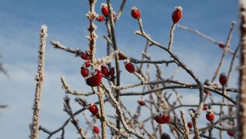 Winter magic