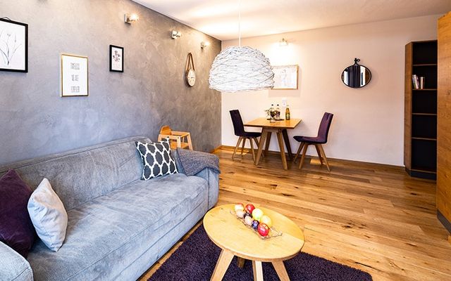 Unterkunft Zimmer/Appartement/Chalet: Typ B | 45-50 m² - 2-Raum