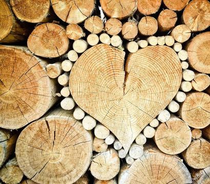 im Himmelreich Wellness- & Erlebnisresort Sonnenhof : Paket HOLZ