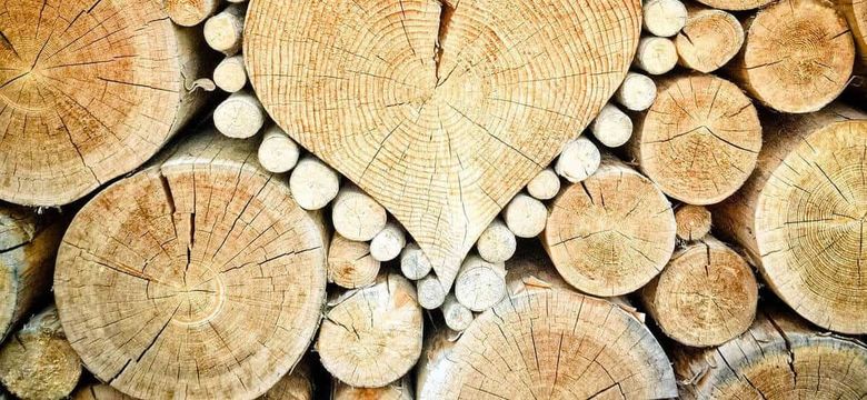 im Himmelreich Wellness- & Erlebnisresort Sonnenhof : Paket HOLZ