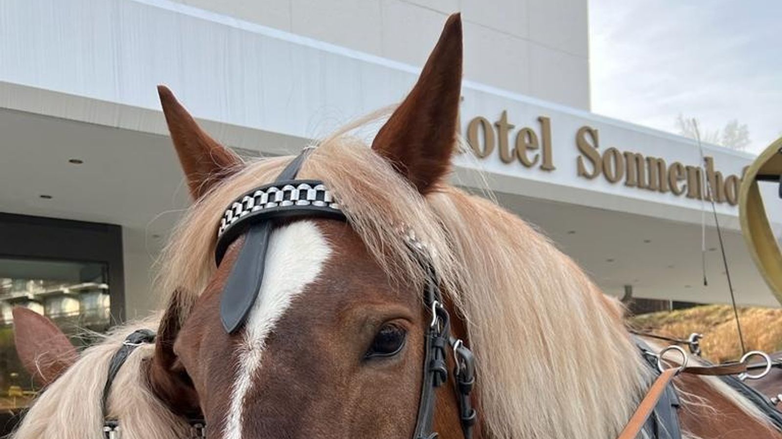 Bild #30 - im Himmelreich Wellness- & Erlebnisresort Sonnenhof