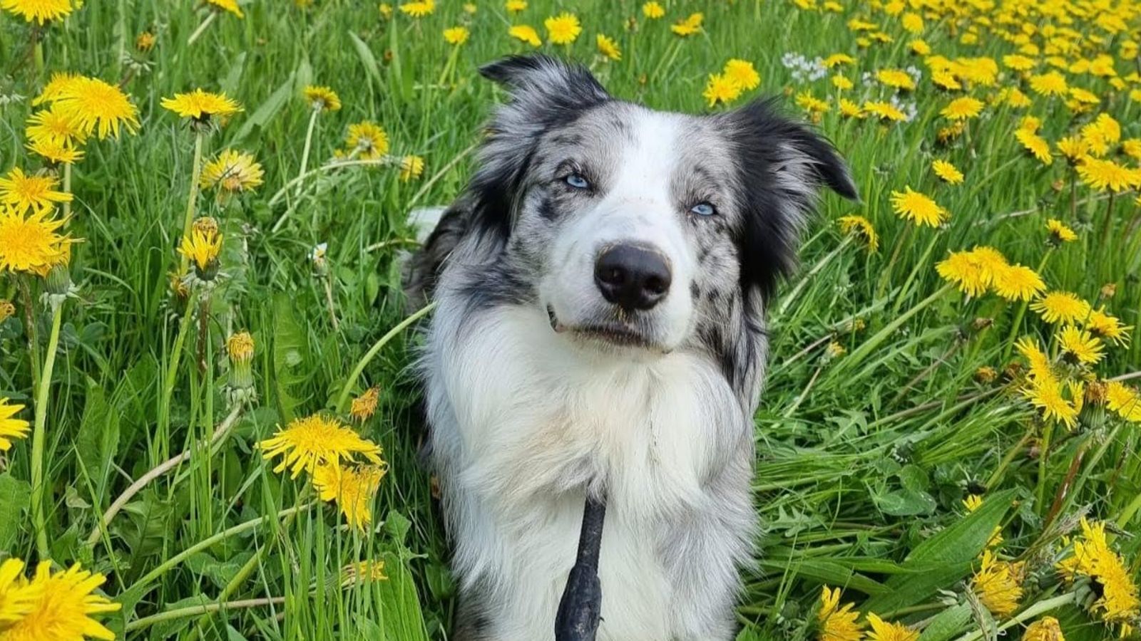 Bild #40 - im Himmelreich Wellness- & Erlebnisresort Sonnenhof