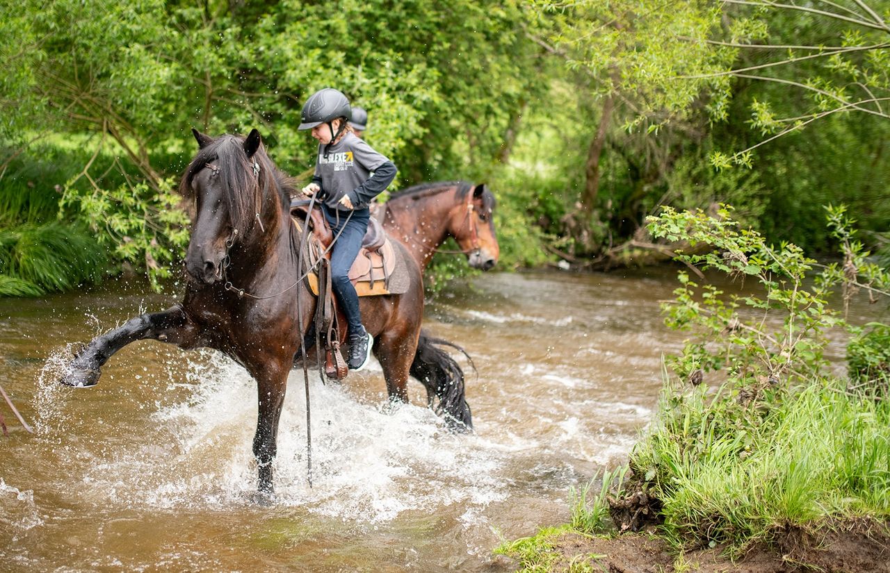 Geländeritt durch Wald, Wiesen und Bach
