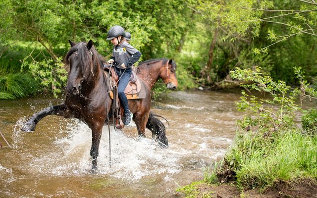 Geländeritt durch Wald, Wiesen und Bach