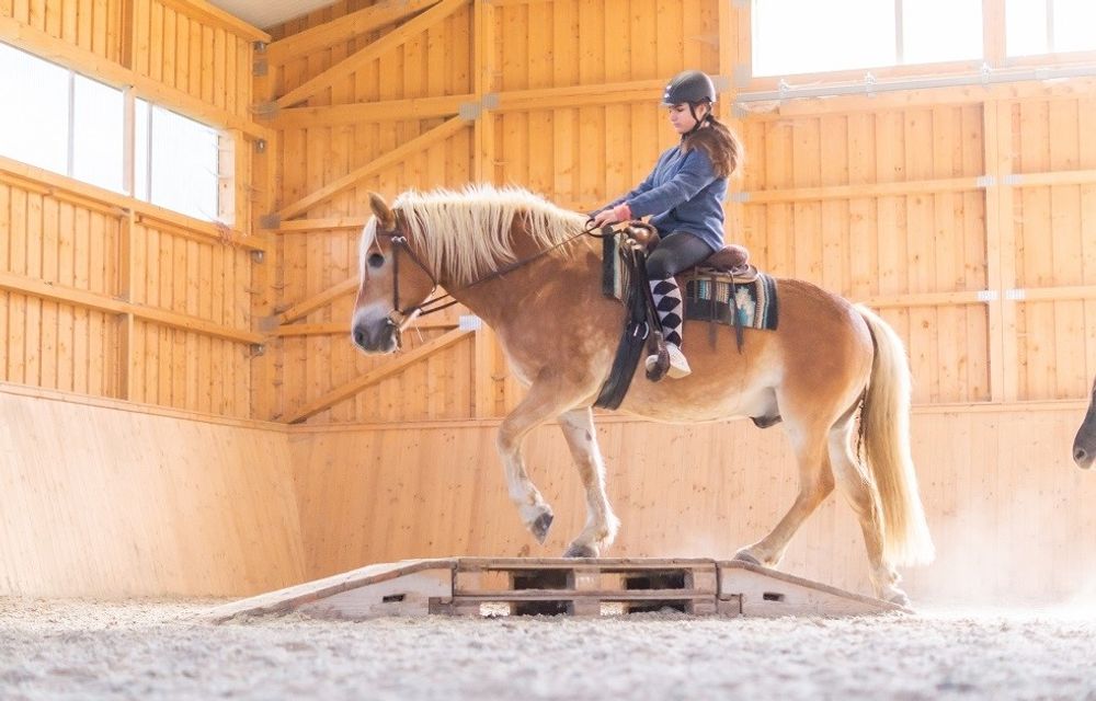 Reiten mit Anleitung