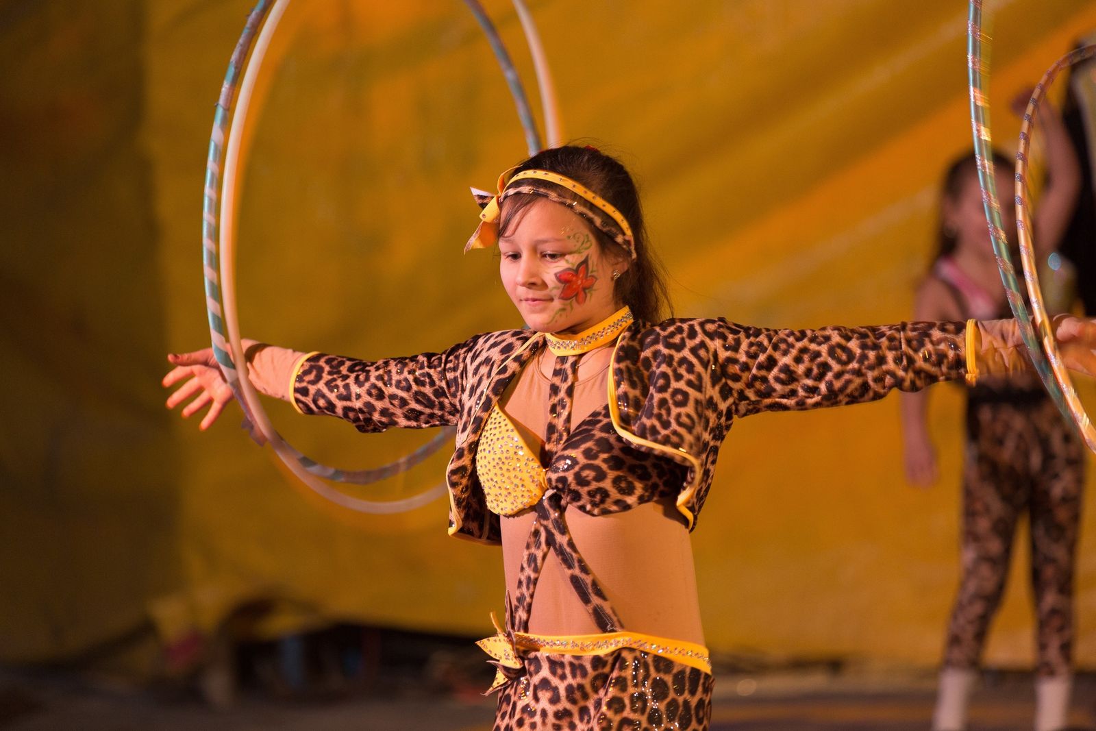 🎪Zirkus-Ferien im Rookhus image 3 - Familotel Mecklenburgische Seenplatte Borchard's Rookhus