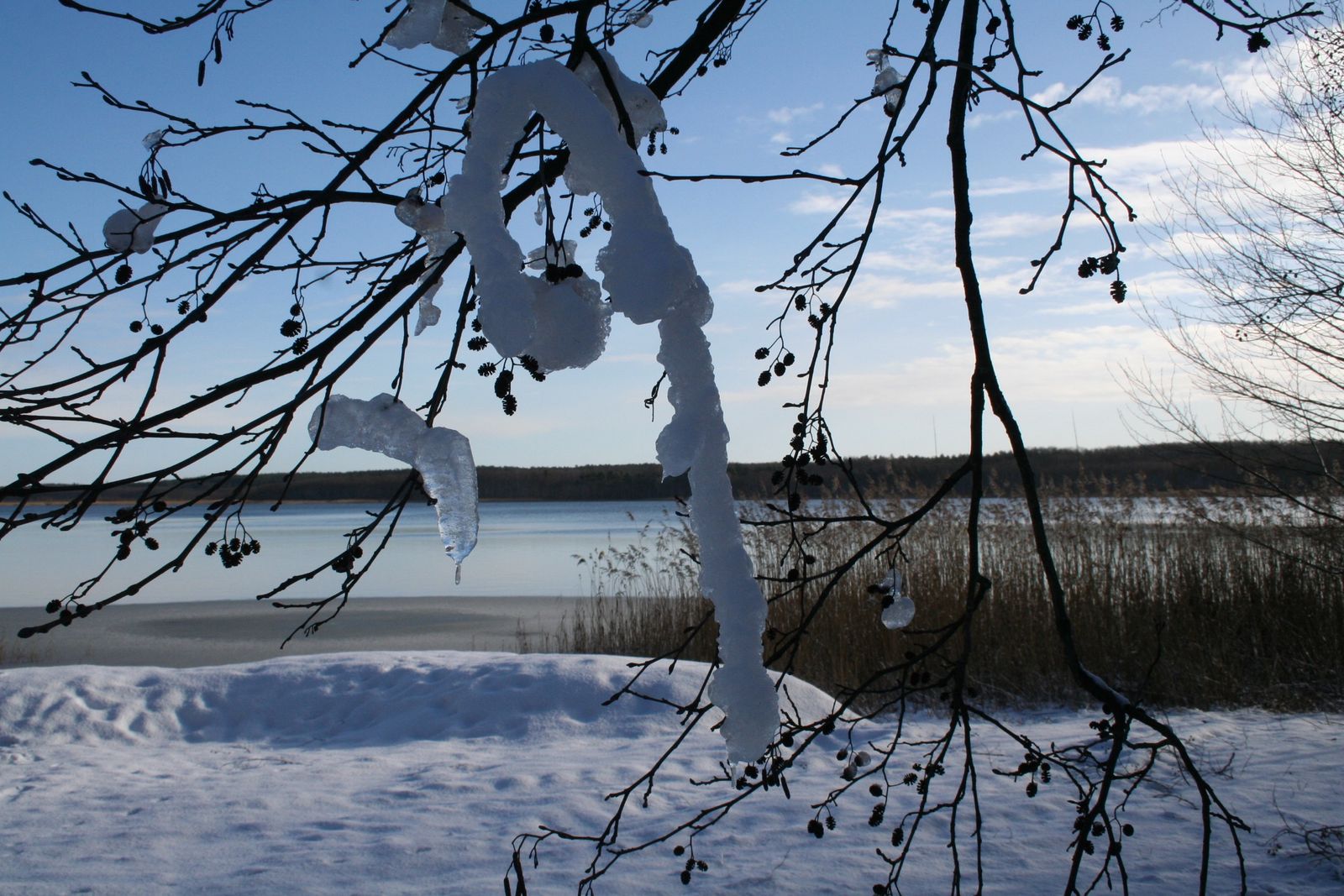 Jahreswechsel am See – Silvester im Borchard’s Rookhus image 4 - Familotel Mecklenburgische Seenplatte Borchard's Rookhus