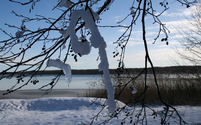 Adventswochenende im Rookhus image 3 - Familotel Mecklenburgische Seenplatte Borchard's Rookhus 