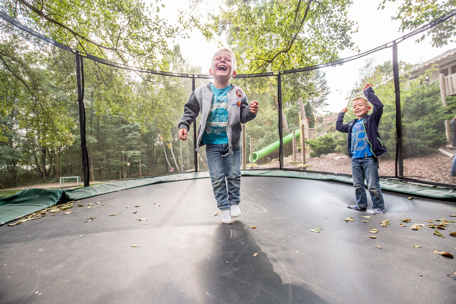Auszeit mit Omi & Opi image 2 - Familotel Mecklenburgische Seenplatte Borchard's Rookhus