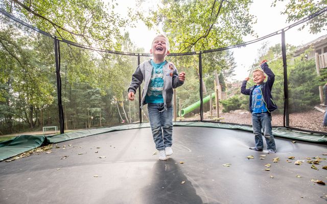 Auszeit mit Omi & Opi image 2 - Familotel Mecklenburgische Seenplatte Borchard's Rookhus 