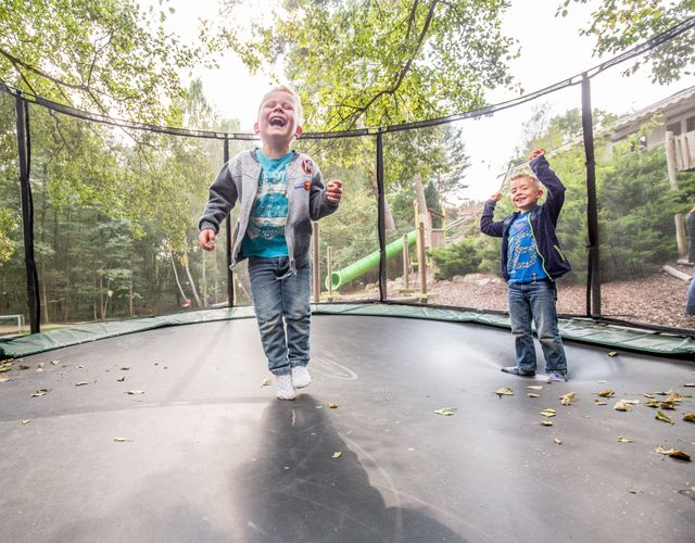 Angebot: Kidswochen (2-7 Jahre) - inkl. Ponyreiten - Borchard's Rookhus