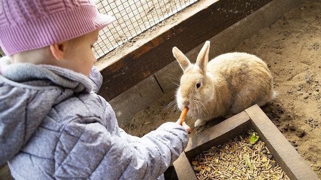 Osterferien im Rookhus