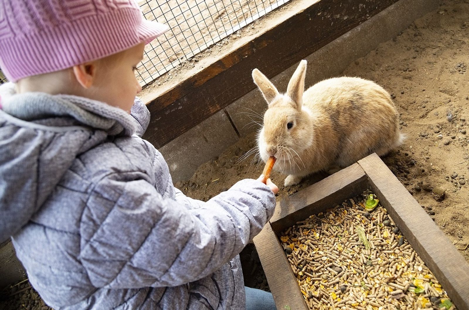 Osterferien im Rookhus image 1 - Familotel Mecklenburgische Seenplatte Borchard's Rookhus