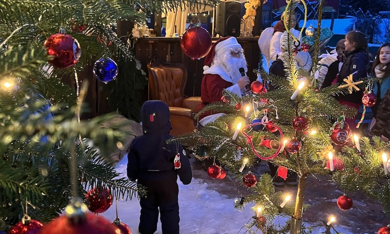 Familien Weihnacht im Zauberwald  image 1 - Familotel Mecklenburgische Seenplatte Borchard's Rookhus