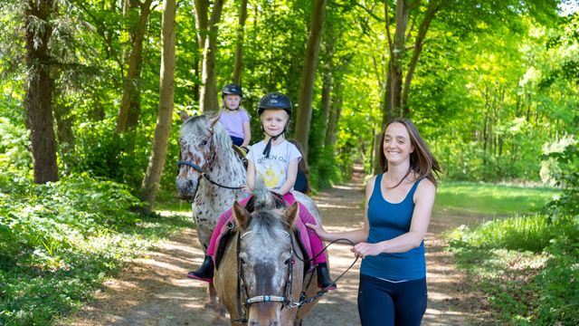 Sommer, Sonne, Reitzeit auf Gut Landegge