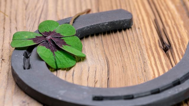 Neujahr im Monikas Ferienhof