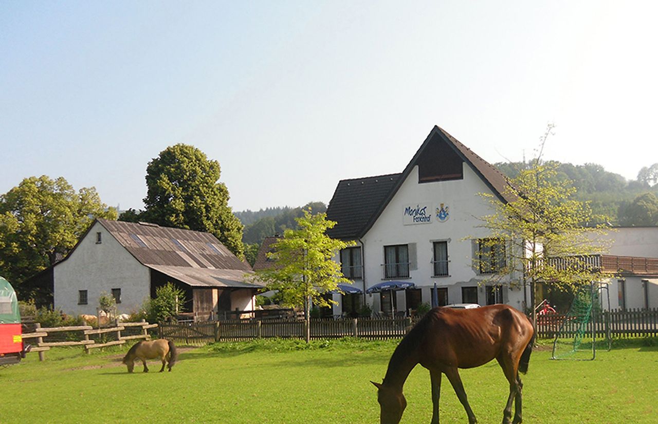 Monikas Ferienhof Bildergalerie