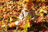 Der Herbst kommt... mit -5% Bonus