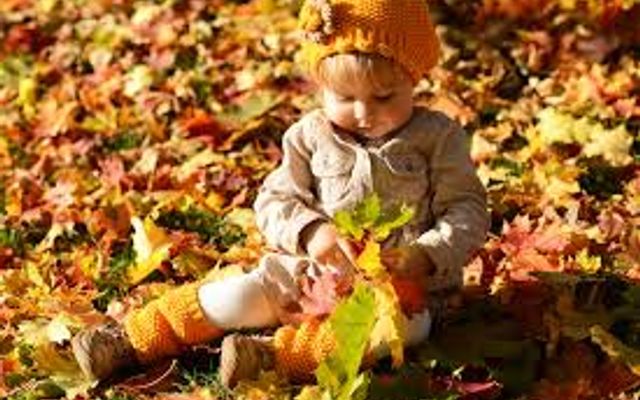 Familotel Sauerland Monikas Ferienhof: Der Herbst kommt...