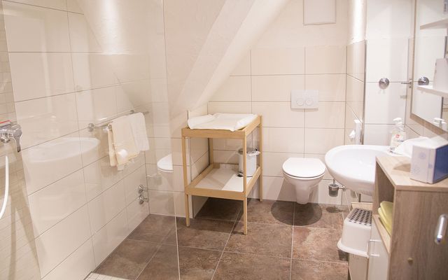 Zaunkönig  image 2 - Familotel Sauerland Monikas Ferienhof