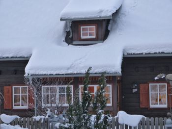 Ferienhaus Almenblick - Carinthia  - Austria