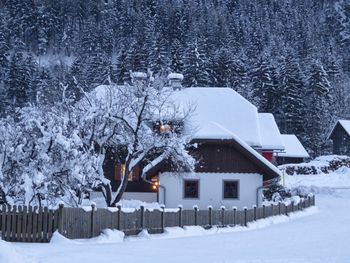 Ferienhaus Almenblick - Carinthia  - Austria