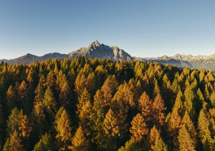 Farbenfroher Herbst