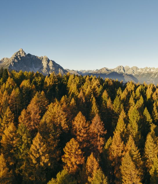 Hauptbild: Farbenfroher Herbst - Alpenhotel Kindl