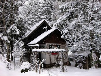 Romantik Hütte - Carinthia  - Austria