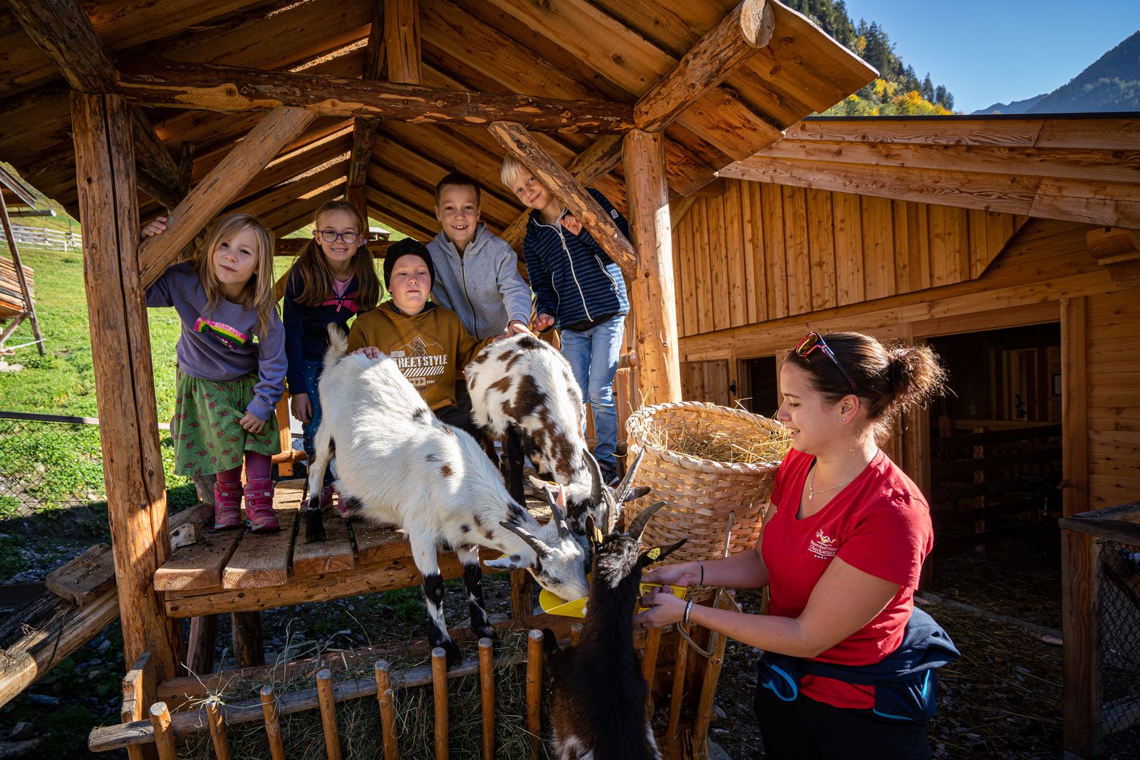 SUPERSOMMER, Tiere, Spaß, und mehr... image 2 - Familotel Salzburger Land Familienhotel Oberkarteis