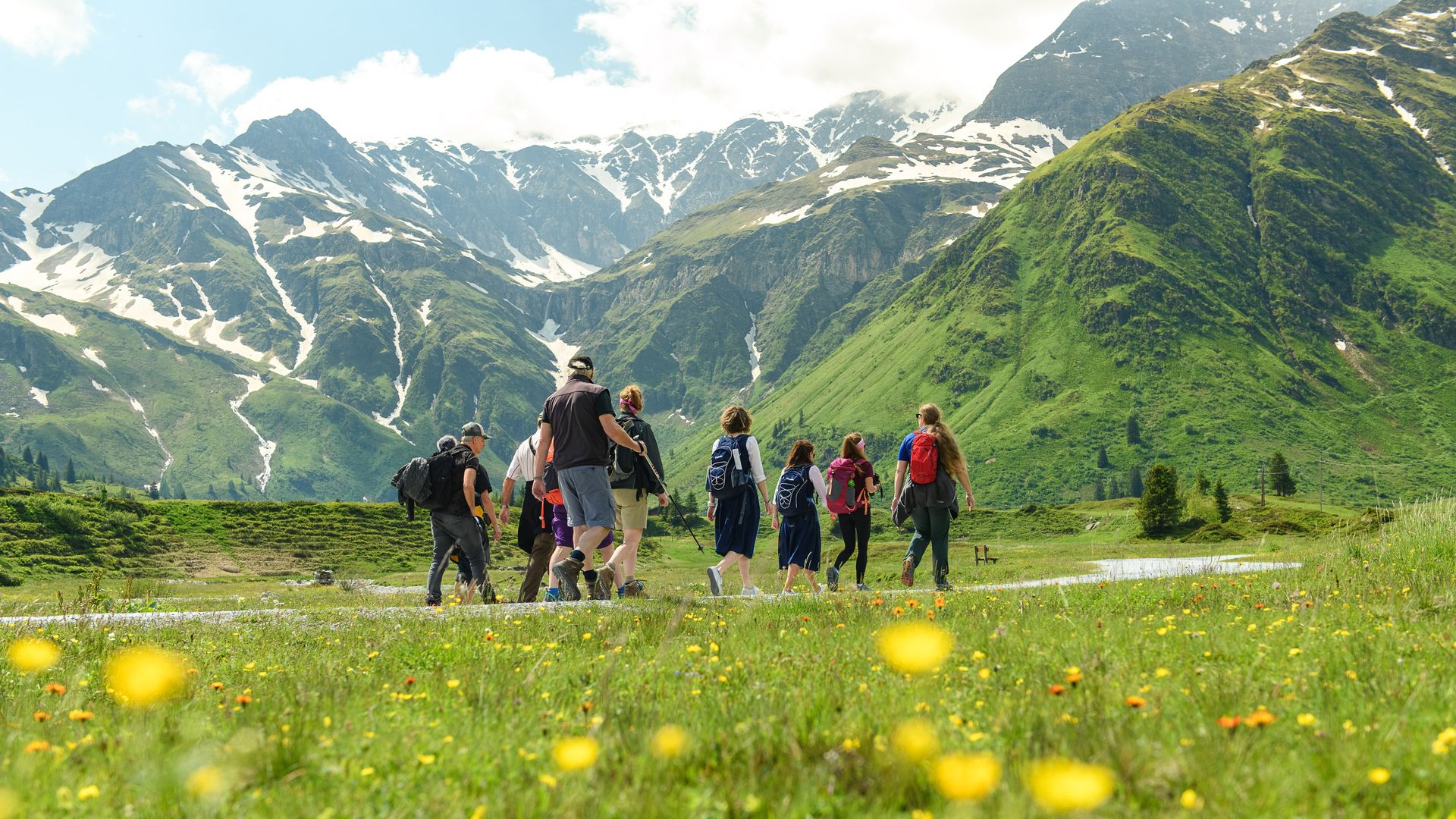 Wandergruppe auf Almwiese in Gastein mit Bergkulisse – Aktivurlaub und Naturerlebnis nahe Hotel Sonngastein.
