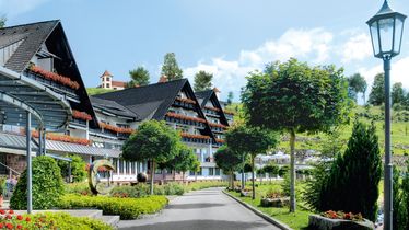 Vivre le Dollenberg