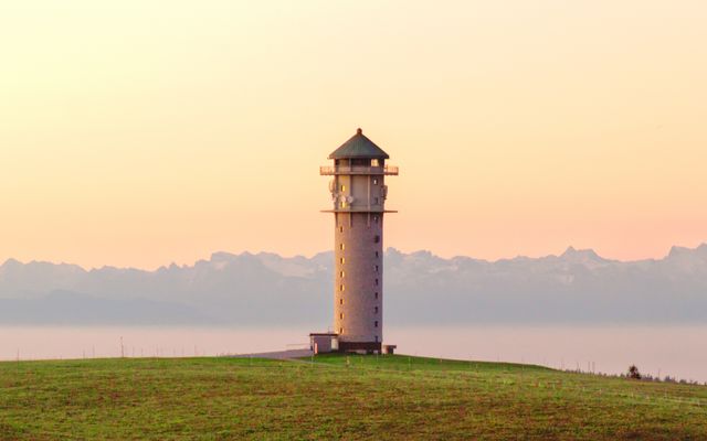 Blick vom Feldberg auf den Feldsee.jpg