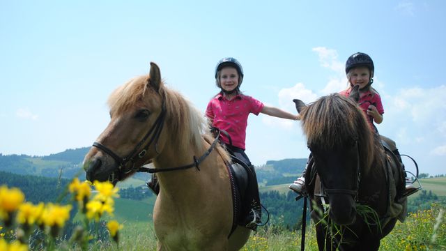 Familien-Reiturlaub für große Anfänger