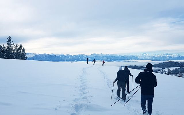 Schneelandschaft.jpg