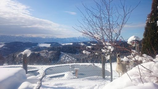 Die glitzernde Schneedecke und die weißen Gipfel rund um den Petschnighof laden zu ausgedehnten Touren ein.