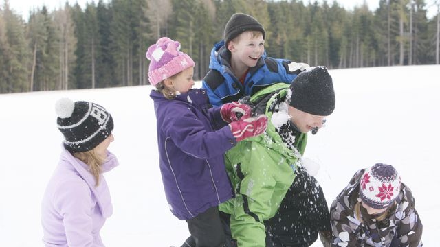 Winterurlaub am Berg