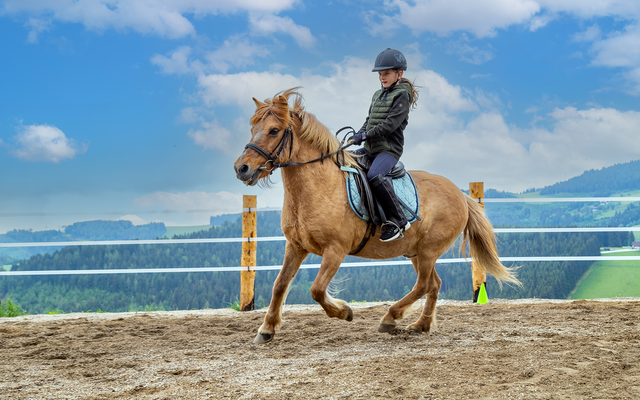 : kleine reitZEIT - Familien Resort Petschnighof