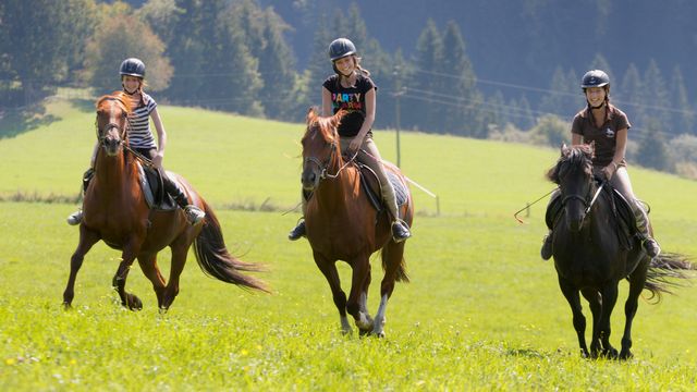 Familien-Reiturlaub für Fortgeschrittene