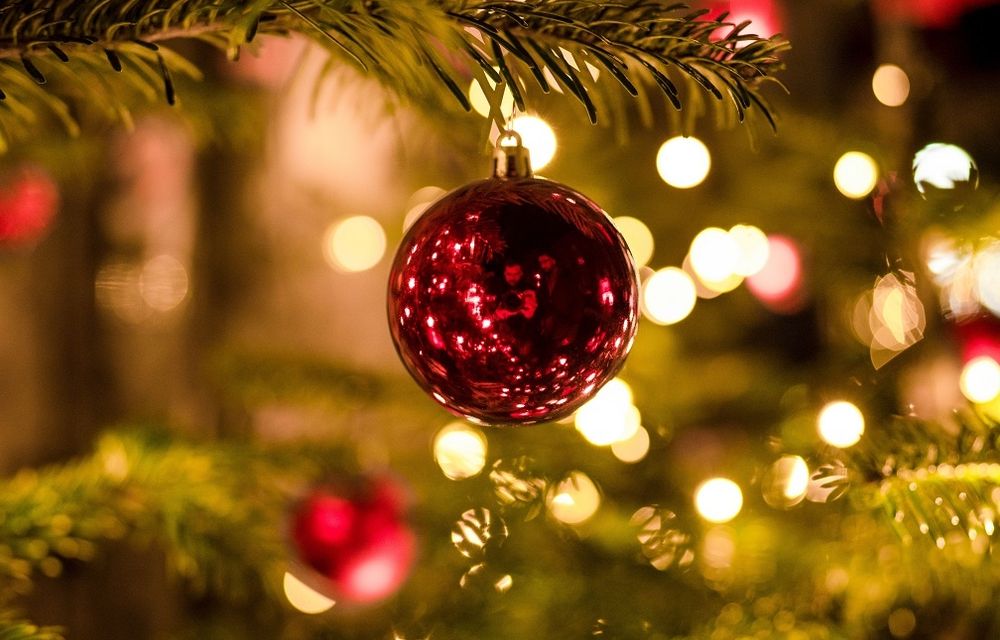 Weihnachtsbaum für's Zimmer zum Selberschmücken 🎄