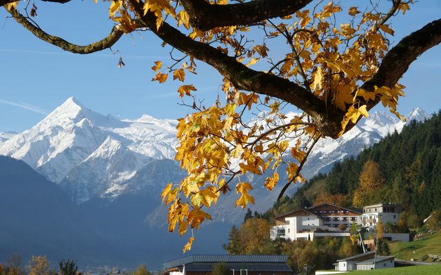 Familotel Zell am See Amiamo: Herbst Special