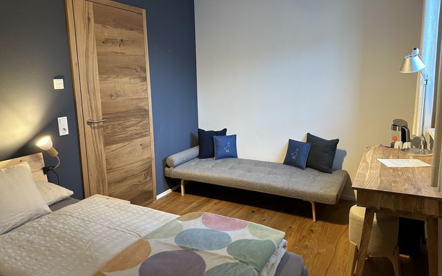 Unterkunft Zimmer/Appartement/Chalet: Zimmer Gans