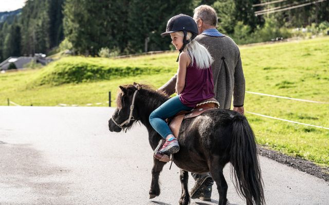 Spaziergang durch die bunten Wiesen