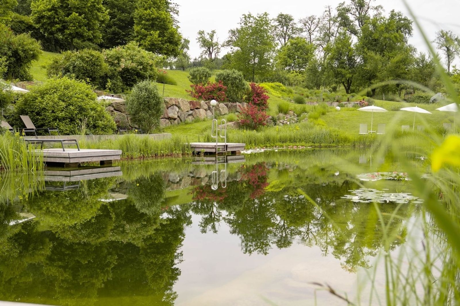 RelaxGarden in spring