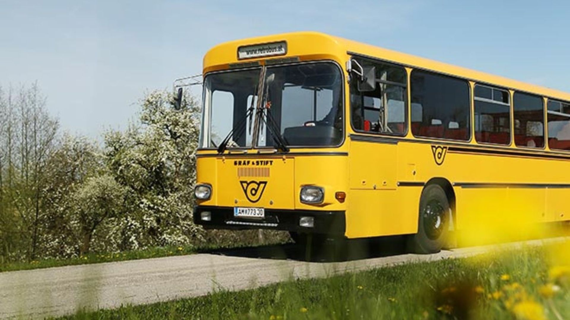 Hop on Hop off tour am Tag des Mostes