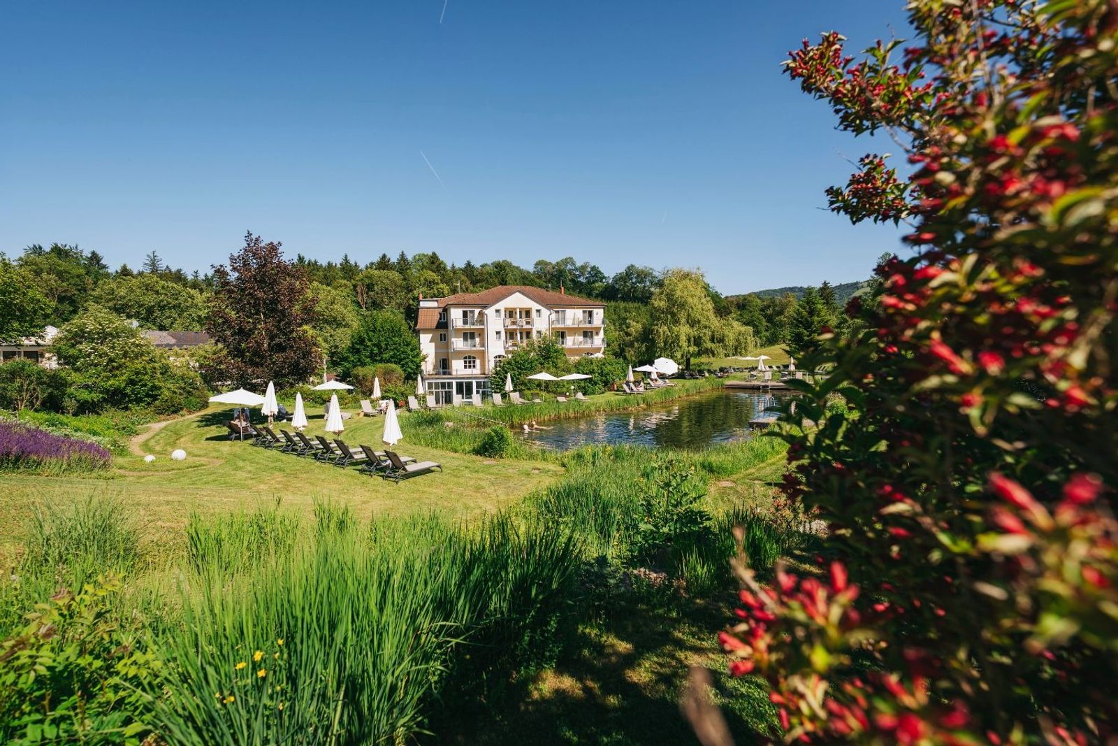 RelaxResort Kothmühle mit Naturbadeteich